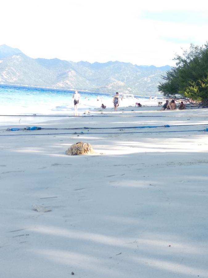 Cnunk Bungalow Gili Meno Extérieur photo